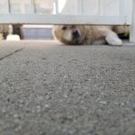 12010960-dr95dr4bxym21-1555496939-728-642080b355-1556016937