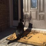 12011410-image-crop-640x642-1555501276-728-e915e41f81-1556016937