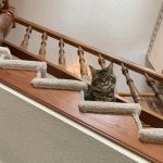 12011460-image-crop-640x524-1555500800-728-4695810d1b-1556016937