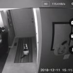 12011610-image-crop-578x462-1555936437-728-3300fb6d98-1556016937