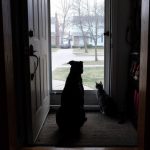 12011660-image-crop-640x635-1555500717-728-588322b0d1-1556016937