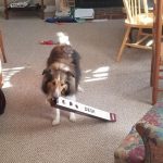 12011810-image-crop-640x505-1555501060-728-c6a6ac363d-1556016937