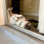 12090310-zaaknu0uos921-1548109380-728-3ef530ffd4-1556284590