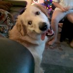 12090360-x1yooox3af721-1548110099-728-b508763bb1-1556284590