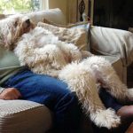 12090460-2nswkvexlu821-1548109604-728-6eeef34085-1556284590