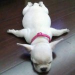 12090910-image-crop-900x1068-1556188941-728-1cee9e75d1-1556284590