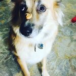 12652054-6954213-image-a