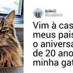 20 fotos comoventes de animais velhinhos que nos mostram a importância de viver cada momento-capa