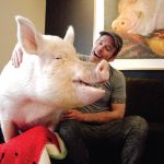 57294358_508806989654321_2571640436324931262_n-5cc26d6966e5d