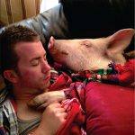 Couple-creates-a-pig-as-a-pet-indoors-proving-that-giant-animals-can-also-bring-a-lot-of-joy-5cc26d8cc0676