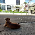 banco-4
