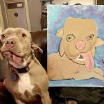 rescue-dog-5ca1f8737866b__700