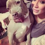 rescue-dog-5ca1fcfa10ece__700