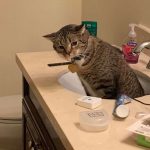 tmg-article_tall (1)