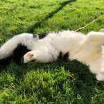 tmg-article_tall (1)