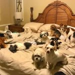 tmg-article_tall (1)