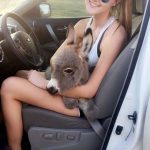 tmg-article_tall (1)