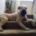 tmg-article_tall (1)