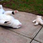 tmg-article_tall (2)