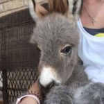 tmg-article_tall (2)