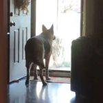 tmg-article_tall (2)