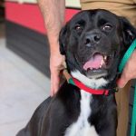 tmg-article_tall (2)