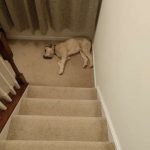 tmg-article_tall (2)