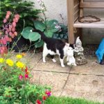 tmg-article_tall (3)