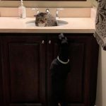 tmg-article_tall (3)