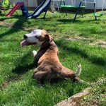 tmg-article_tall (3)