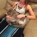 tmg-article_tall (3)