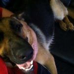 tmg-article_tall (3)