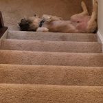 tmg-article_tall (3)