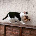 tmg-article_tall (4)