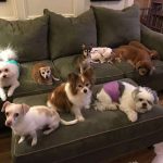 tmg-article_tall (4)