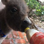 tmg-article_tall (4)