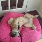 tmg-article_tall (4)