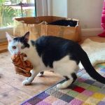 tmg-article_tall (5)