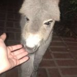 tmg-article_tall (6)