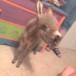 tmg-article_tall (7)