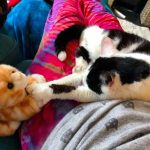 tmg-article_tall (7)