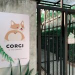 corgi-in-the-garden-dog-cafe-1-5cd01dcb5ac82