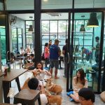 corgi-in-the-garden-dog-cafe-12-5cd01deb6d4c1