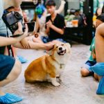 corgi-in-the-garden-dog-cafe-19-5cd01e0001b79