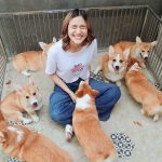 corgi-in-the-garden-dog-cafe-27