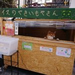 hina_shii_ver2-1107504111254036480-20190318_064851-img2-5c9ca67c8d488__700