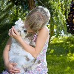 child-1538557_960_720