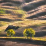 DSC7423-Tuscany7-5e302f2de4bea__880