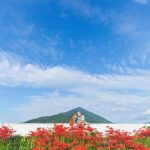 grandmother-dog-shiba-inu-photos-yasuto-14-5e3d177e02614__700