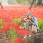 grandmother-dog-shiba-inu-photos-yasuto-15-5e3d17816aad4__700